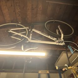Big Flyer