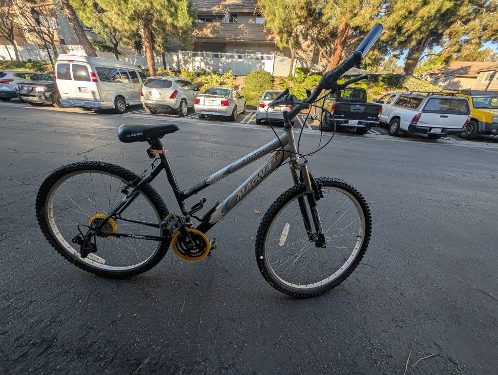 Ladies mountain bike