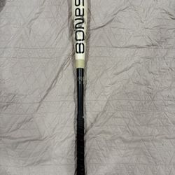 Bonesbar bat