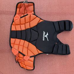 Softball Catchers Gear/ Bag/Softball Bat/ Infield Mask