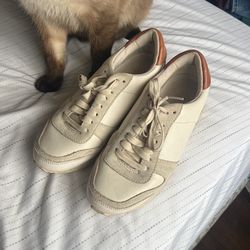 Coach Sneakers 