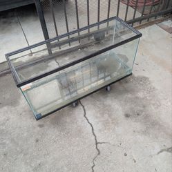 30 gallon glass aquarium