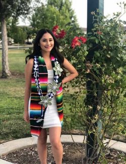 Graduation leis