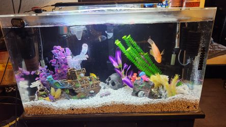 55 gallon acrylic fish tank n stand