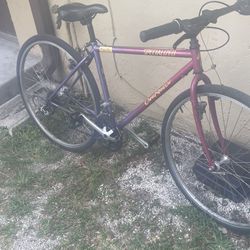 Specialized Bike For Sale $50