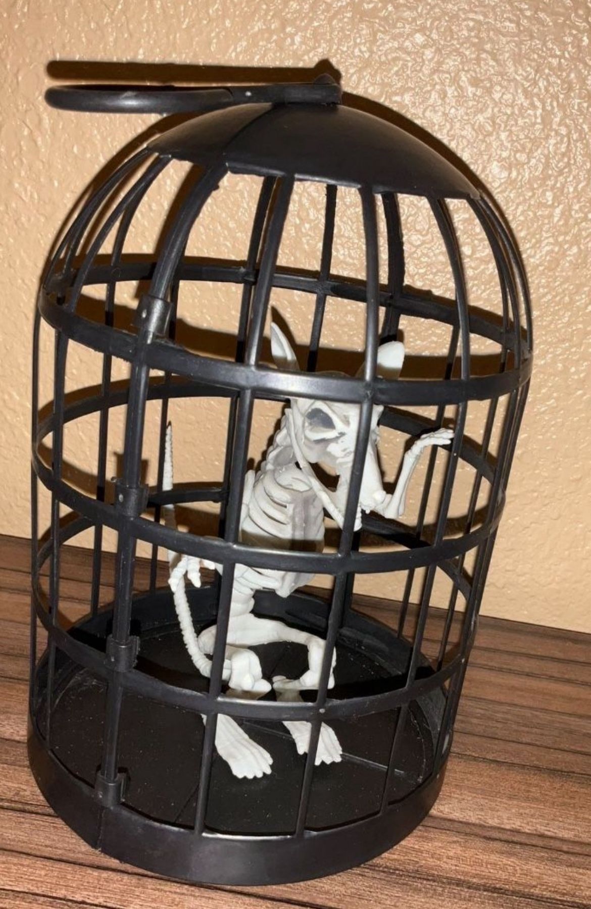 skeleton rat in cage