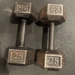 25lb Dumb Bells 