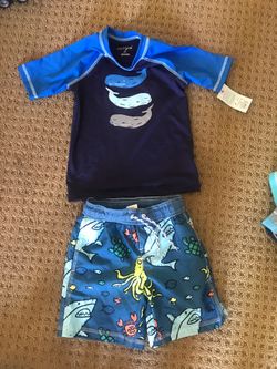 Gymboree boys trunks and rash guard size 5T