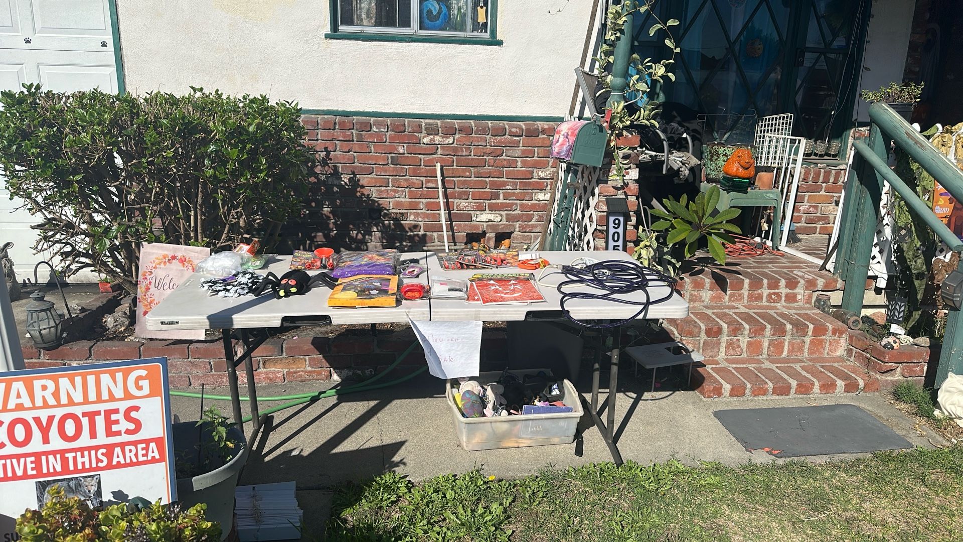 Halloween Decorations