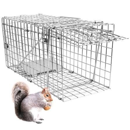 Need To Borrow One Of These Traps-Please! ASAP