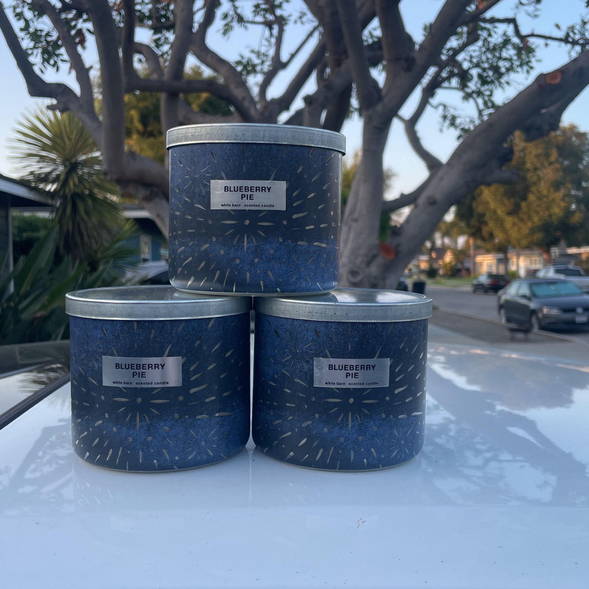 New! $20 For All 3, Blueberry Pie Scented 3 Wick Candles 