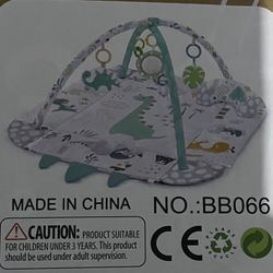 Baby Activity Gym