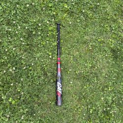 Baseball Bat 