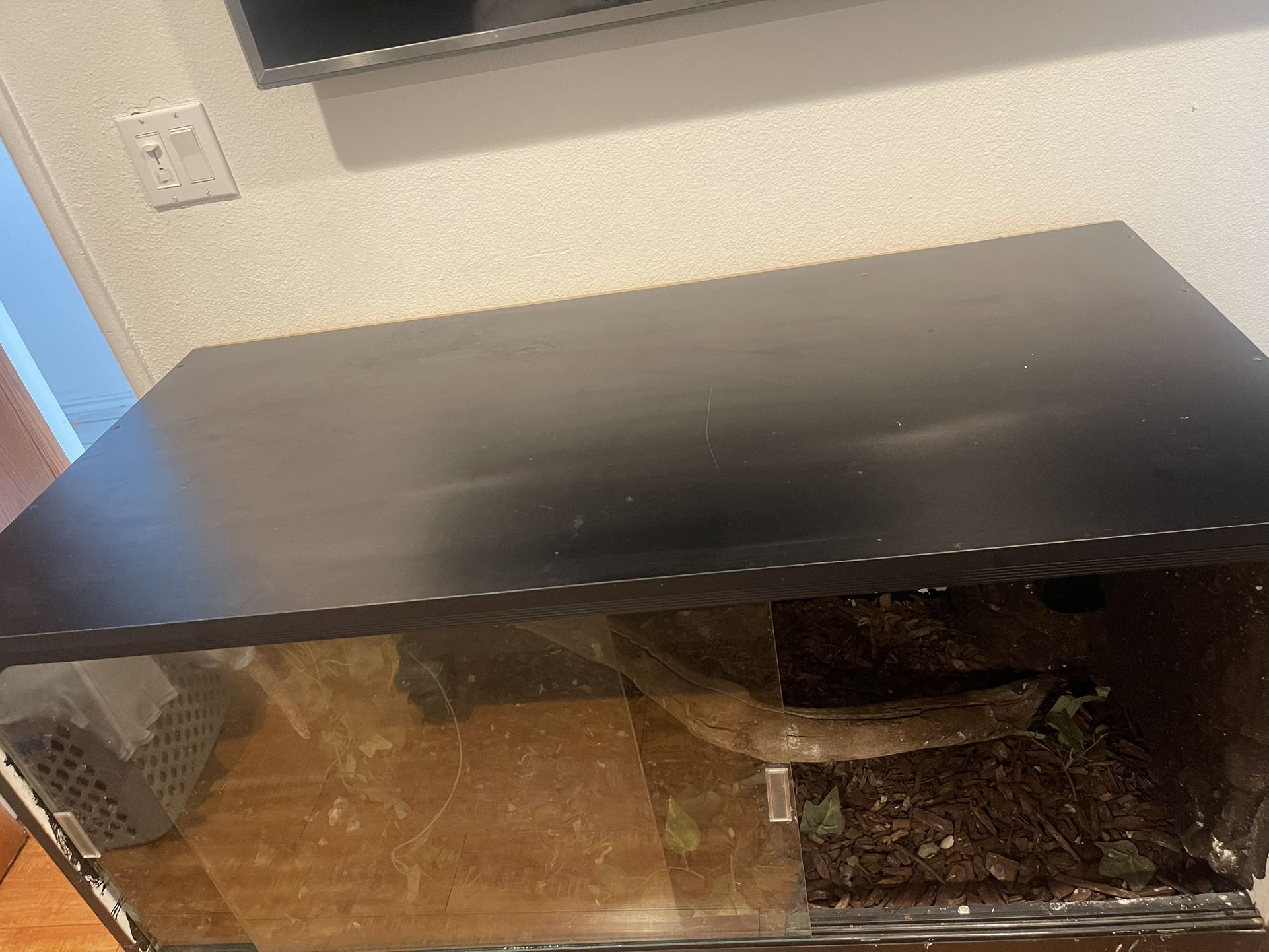 Reptile Enclosure