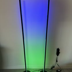Two Govee RGBIC Floor Lamp - barely used - 16 million colors and combos