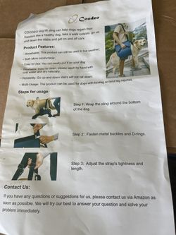 Dog Harness