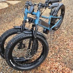 Rungu Standard Dualie Electric Bike