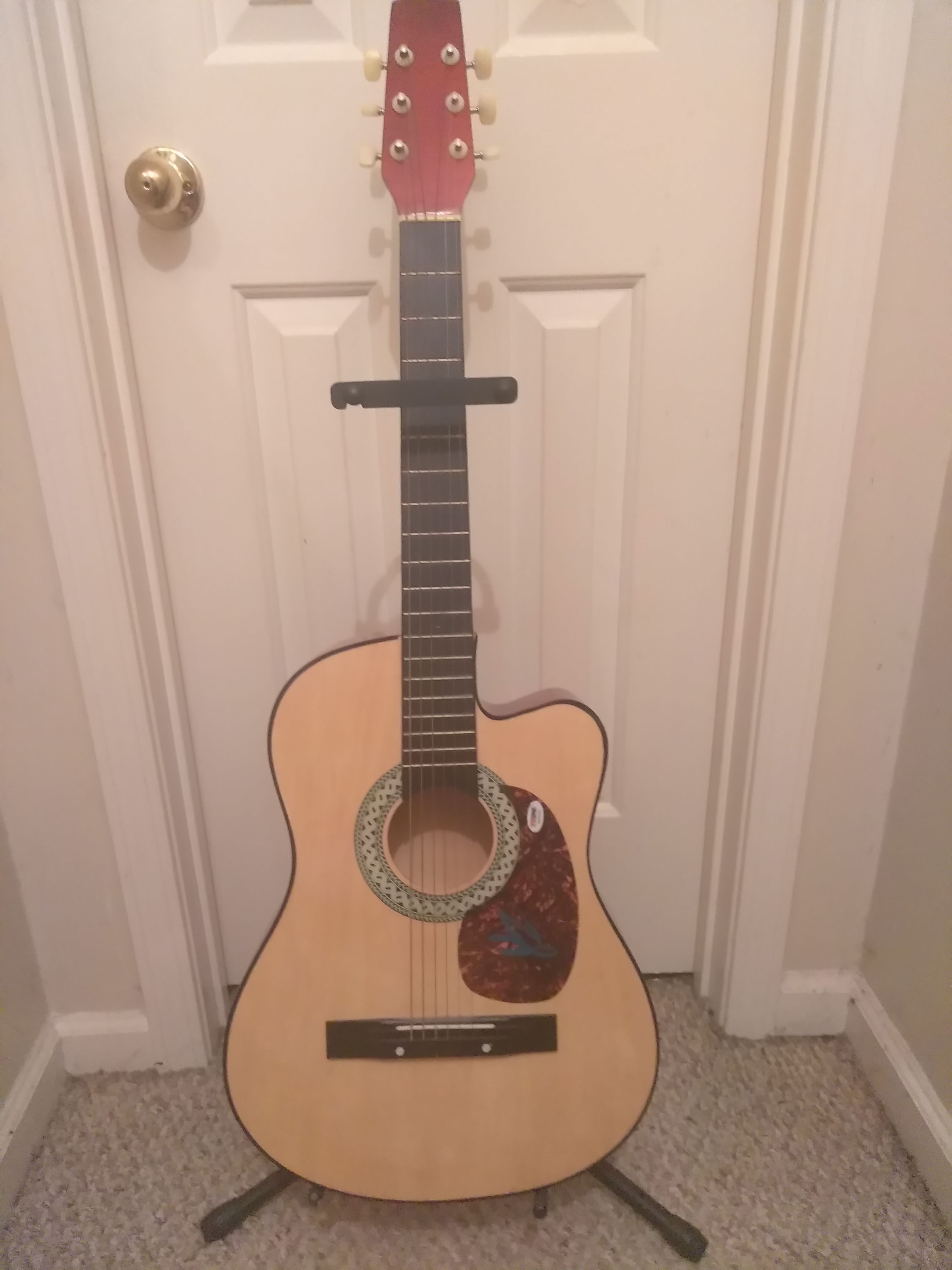 Goo Goo Dolls John rzeznik sighed guitar