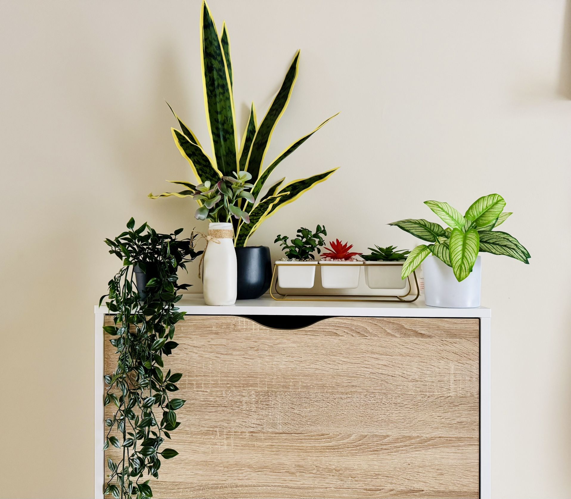 Moving Sale | πΏ Set of Decorative Fake Plants β Stylish & Realistic! πΏ