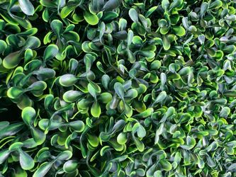 Top quality Ivy Boxwood Clover Panels 20”x20”