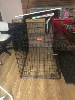 Kennel