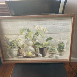 Beautiful Frame