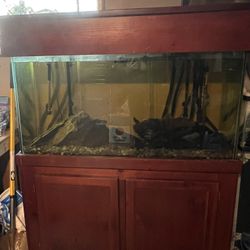 80 Gallon Glass Fish Tank