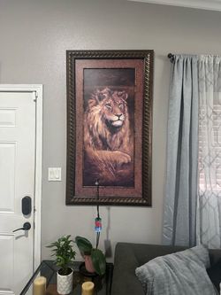 Large Framed Animal Pictures