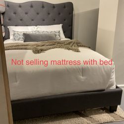 New Queen Size Gray Color Bed Requires Box Spring