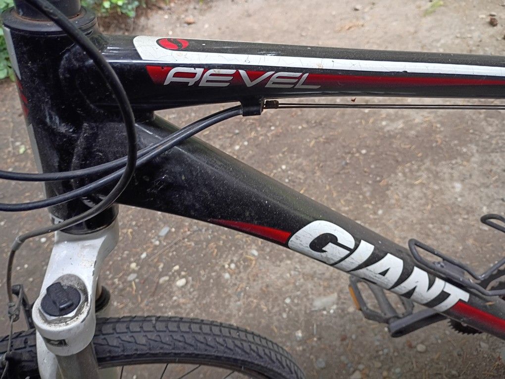 Mountain Bicycle