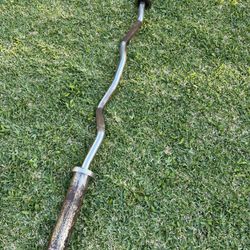 Olympic Curl Bar