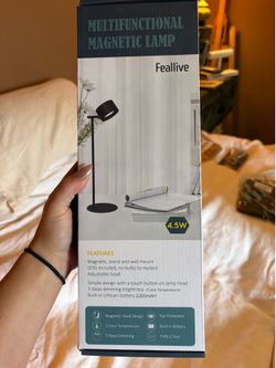 Portable light