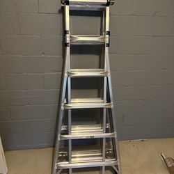 25 Ft Telescoping Multi Position Ladder