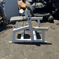 Barbell Curl Bench 