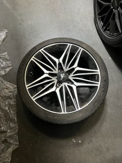 Stinger Stocks All 4 19"