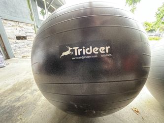 Swiss Exercise Ball