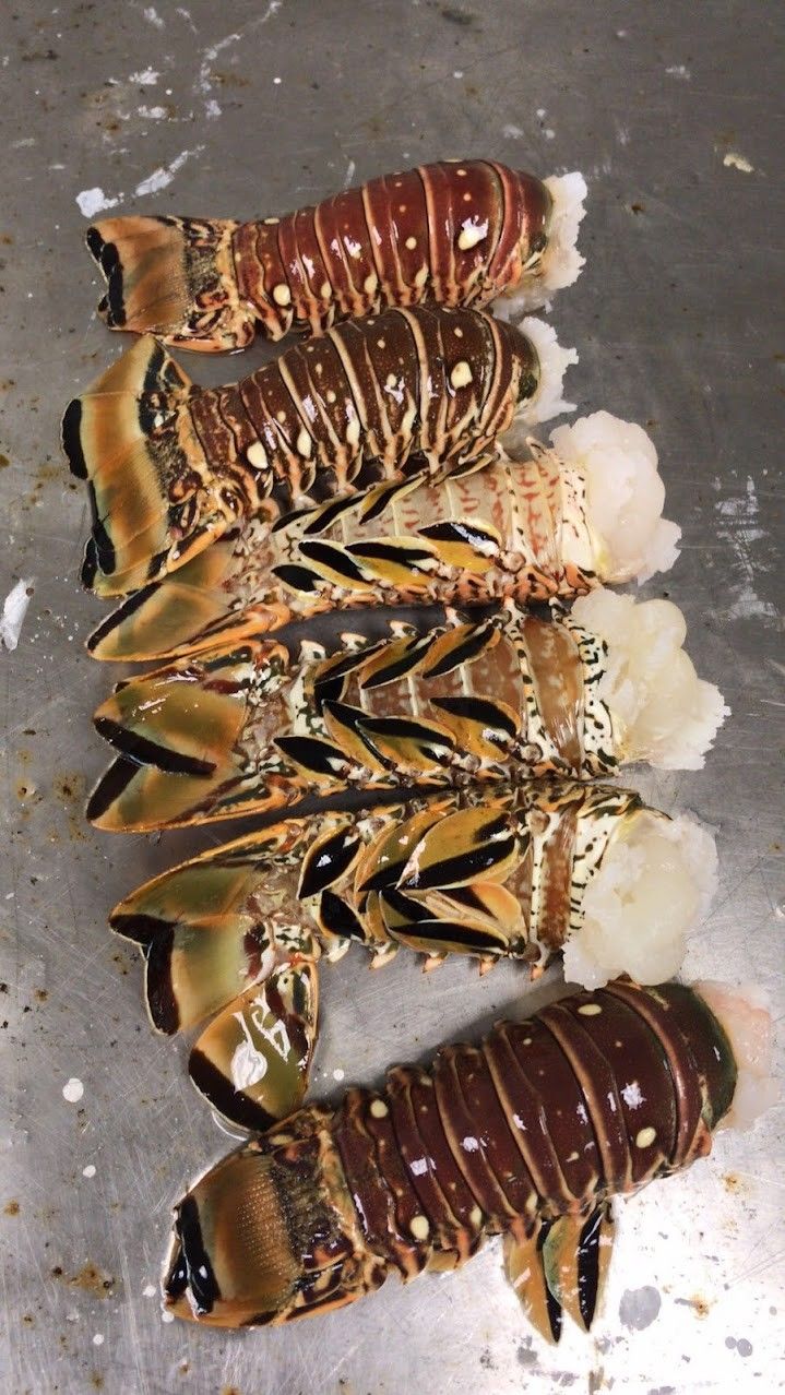 Caribbean Lobster Tails – 7oz (Dozen) – Fresh & Local Delivery