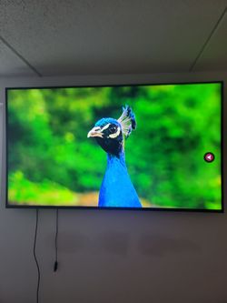 LG 75” 4K Smart TV 75SM8670PUA With Wall Mount and Remote