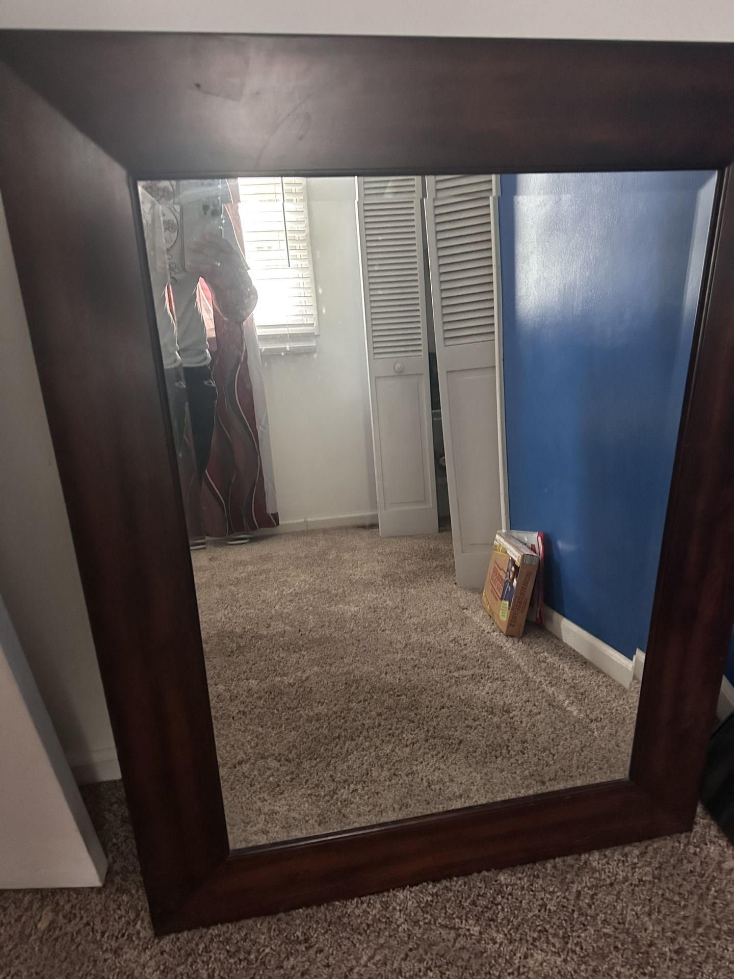 Large Brown Mirror