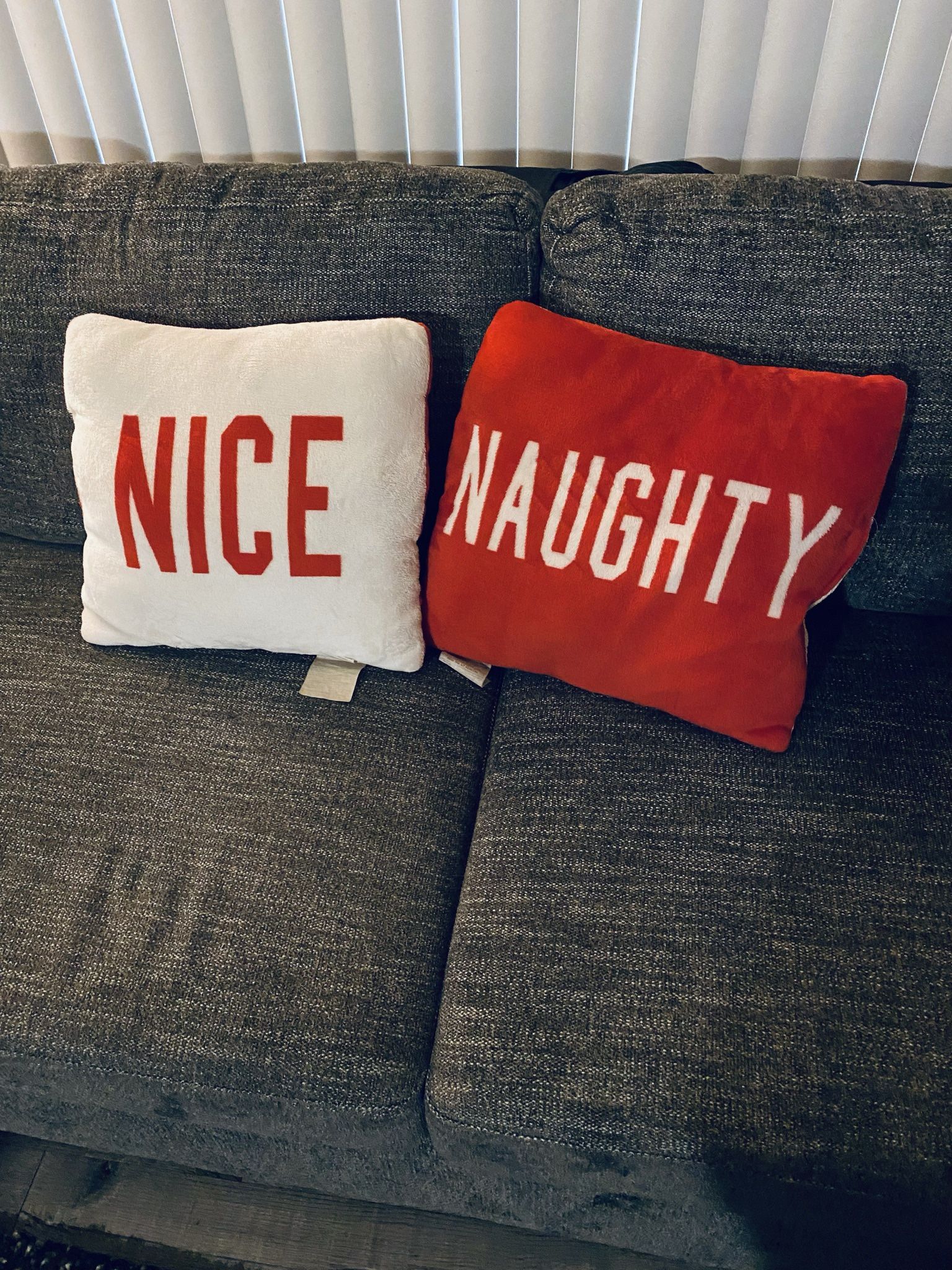 Decorative Pillows 