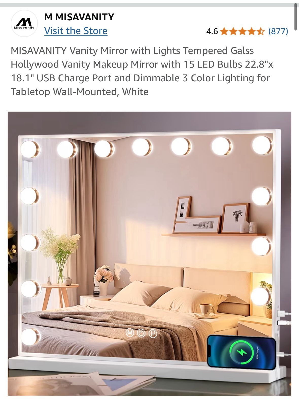 Vanity Mirror with Lights