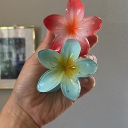 Large Plumeria Hair Claw