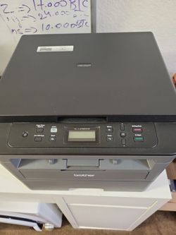 Printer The Brother HL-L2390DW