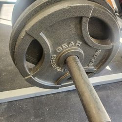 45s Olympic Gym Weights Cast Iron Plates $100 Firm
