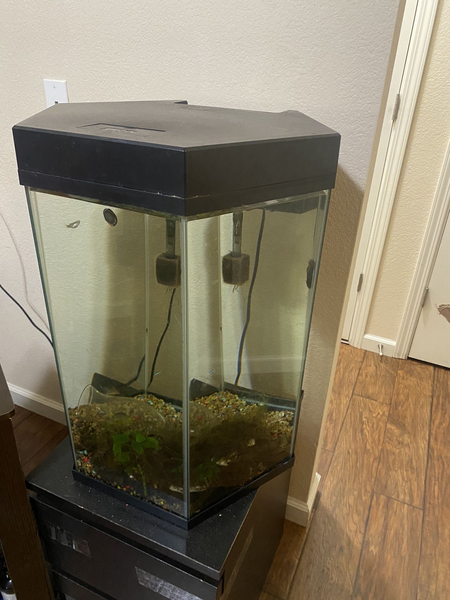 Fish Tank With Stand 30 Gallons