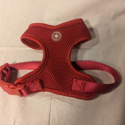 Small Dog Harness 