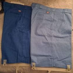 MENS DICKIE AND CARGO SHORTS. LARGE SIZES.