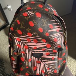 LOUIS VUITTON BACKPACK