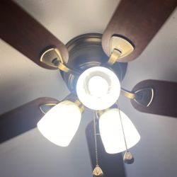 Ceiling Fans