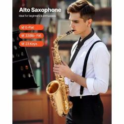 163# Alto Saxophone, E Flat, Brass Saxophone Beginner Kit with Carrying Case, Mouthpiece, Straps, Cleaning Cloth Rod, Gloves, Grease, Neck Strap, 23 K